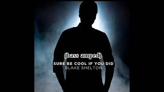Blake Shelton - Sure Be Cool if You Did (bass amp 60%)
