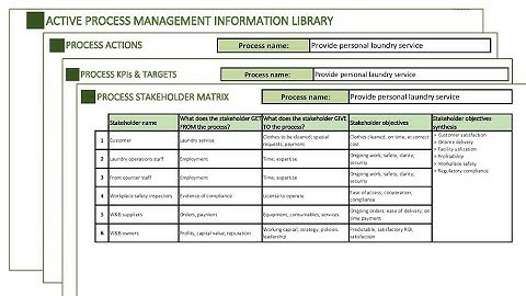 Process Insights: The Process Management Record