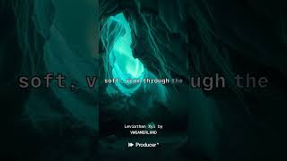 Leviathan Xyl/hip hop, lo-fi, reggaeton percussion, laid-back, chill vibes