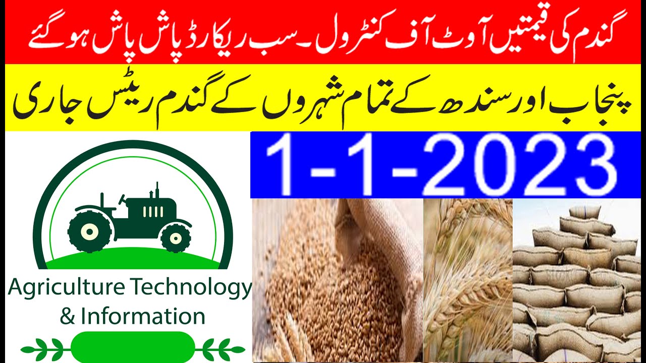 New Wheat Price Out Of Control 1 1 23 Punjab And Sindh All City Today new-wheat-price-out-of-control-1-1-23-punjab-and-sindh-all-city-today