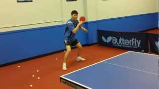 Lesson with Wang Qing Liang (5)