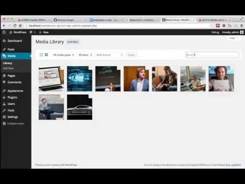 WordPress #22744 bug