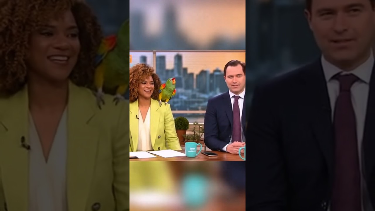 Parrot Exposes Guest on Live TV 😂 || You Won’t Believe What It Said 