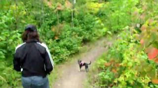 Hiking Split Rock River
