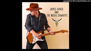 Video thumbnail of "James House And The Blues Cowboys - Well Ran Dry"