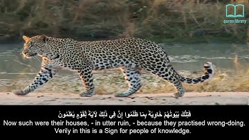 سورة النمل - ياسر الدوسري - مترجم | Surah An Naml - Yasser Aldosari - English subtitles