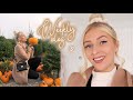 office renovation, a pumpkin patch & puppy school! 🎃 | AUTUMN VLOG