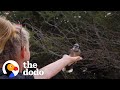 Woman Makes Friends With Wild Blue Jays Is So Surprised When She Moves To A New Home  | The Dodo