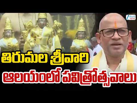 Tirumala Pavitrotsavams | తిరుమల శ్రీవారి ఆలయంలో పవిత్రోత్సవాలు | ZEE Telugu News - ZEE24TELUGUNEWS