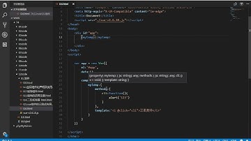 PHP进阶 04 VUE 5day 06 组件与实例对象