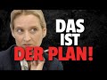 Verfassungsschutz plant DAS mit AfD