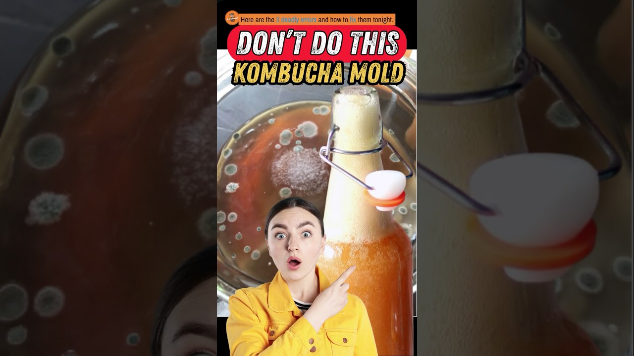 Every Kombucha Beginner Makes This Mistake