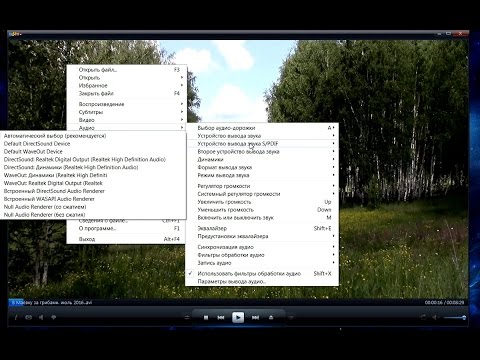 Видео плеер Daum PotPlayer,видит все форматы,флеш и гиф анимацию