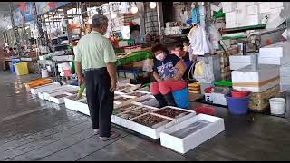 塭仔漁港海鮮代客料理觀光魚市場溫仔觀景台天賜全景記錄 