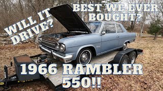 1966 AMC Rambler 550 Special!!  Will it drive?  Is this the best car we brought home?? Maybe!