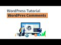 WordPress for Beginners | Comment in WordPress | wordpress comments