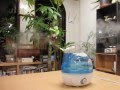 加湿器通販 人気 青い白鳥