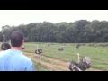 Ostrich farm visit in New Jersey