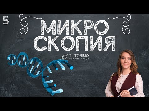 Микроскопия. Как пользоваться световым микроскопом. Лекция из курса "Биология как наука"