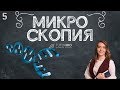 Микроскопия. Как пользоваться световым микроскопом. Лекция из курса &quot;Биология как наука&quot;