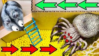 🐹Extreme Hamster Maze with Traps 😱[OBSTACLE COURSE]😱