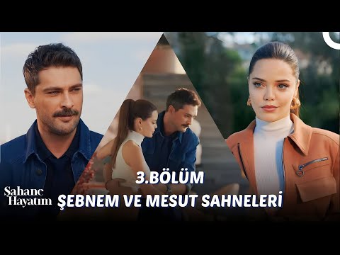 3. Bölüm Şebnem ve Mesut Sahneleri - Şahane Hayatım