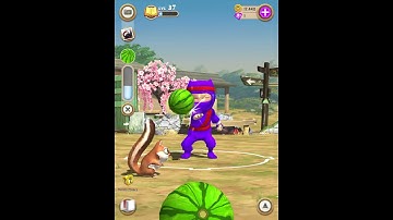 Clumsy ninja training session with (WATER MELONS) balls