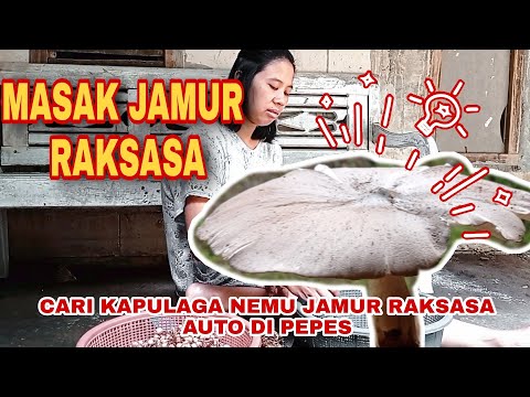 hidup-didesa‼️keladang-petik-kapulaga-nemu-jamur-besar-|-pepes-jamur-mantap