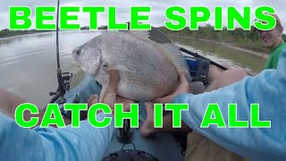 The Lure that Catches it All - The Beetle Spin
