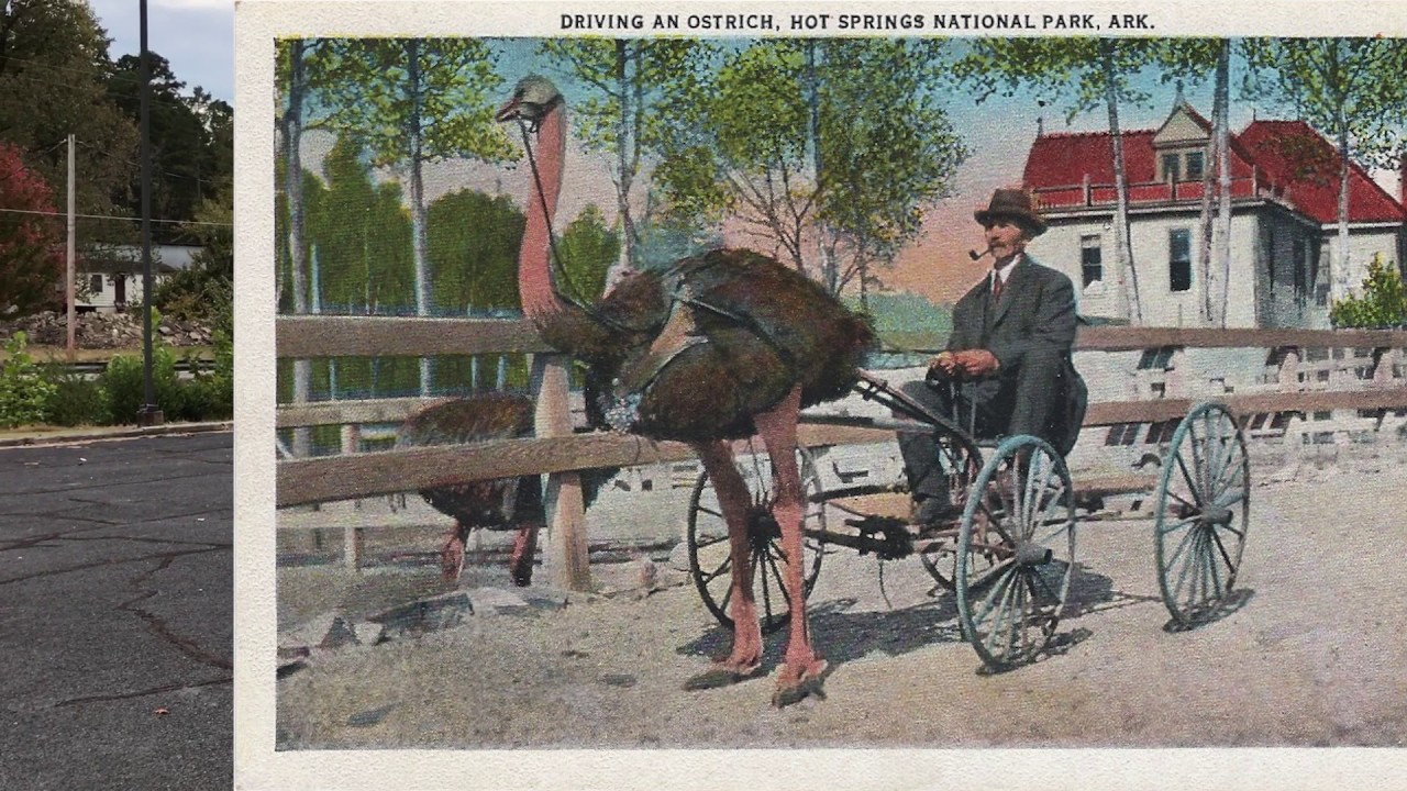 Baseball spring training fields of Hot Springs AR plus a hidden spring