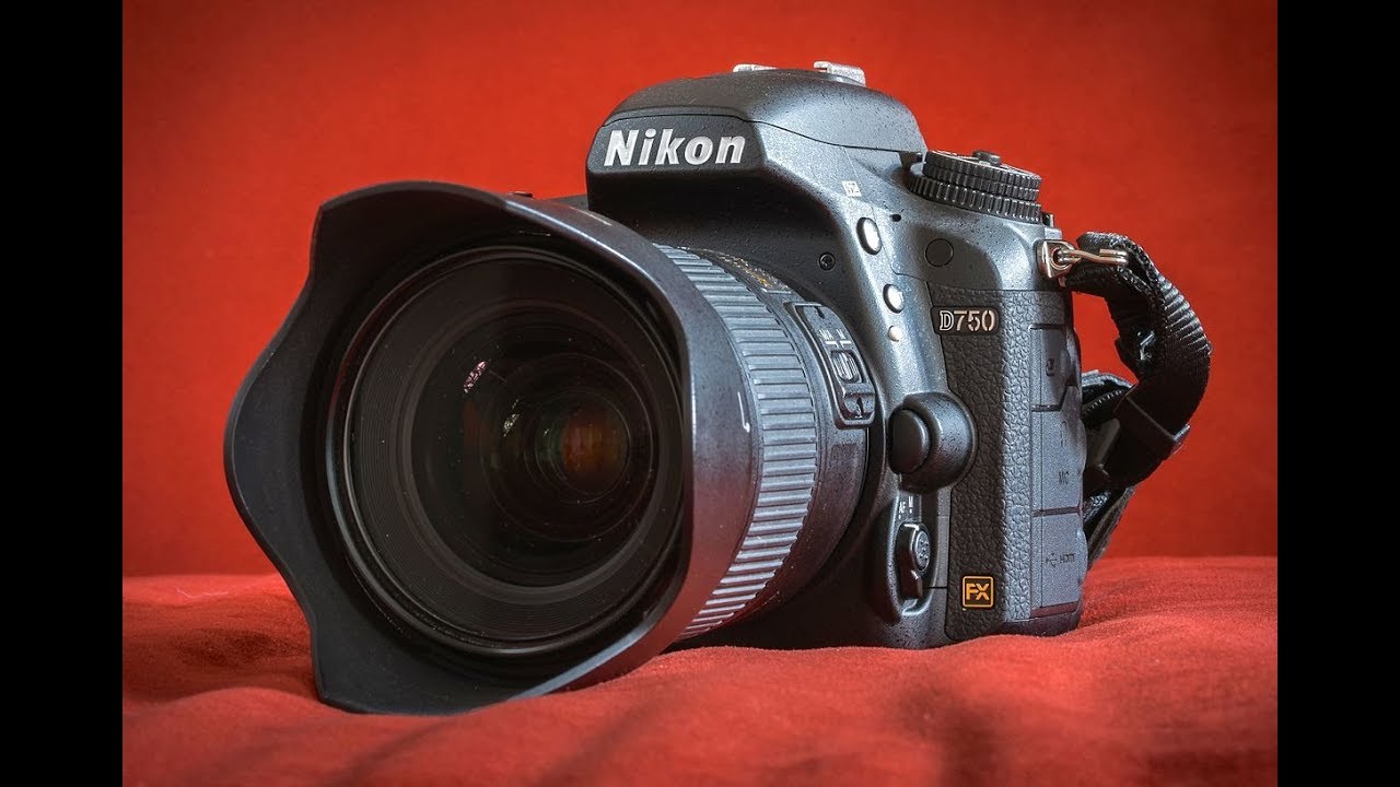 Top 7 Best Selling DSLR Cameras 2019