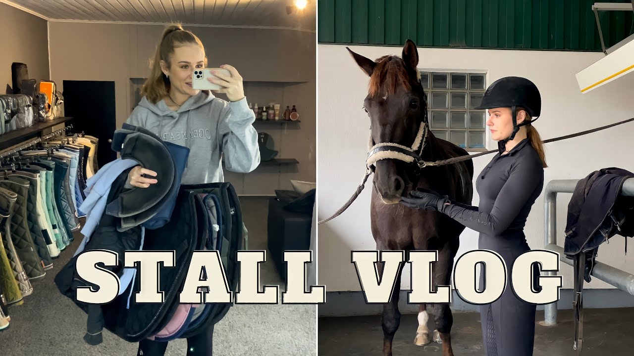 HAFLINGER VS MINISHETTY | VLOG AM STALL MIT @my_starwave ⭐️🦄