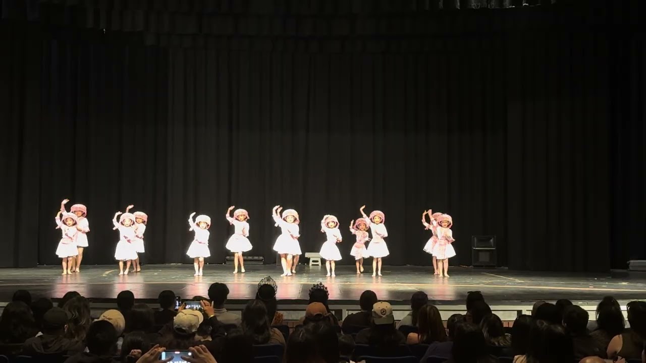 Ntxhais Yuj Yees (NYY) Hmong Dance - MSDI 2025 Dance Recital