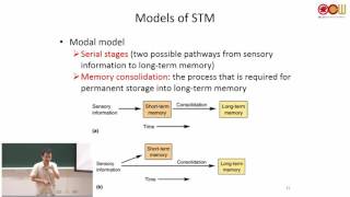 Celebrity Lec 30 Chapter 9 The Remembering Brain (腦與記憶系統) (2/4) Net Worth