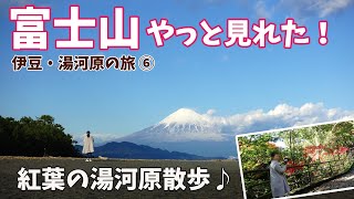 [ 伊豆・湯河原 2泊3日の車旅 ]　#6 紅葉の湯河原・三島スカイウォーク・三保の松原からの富士山