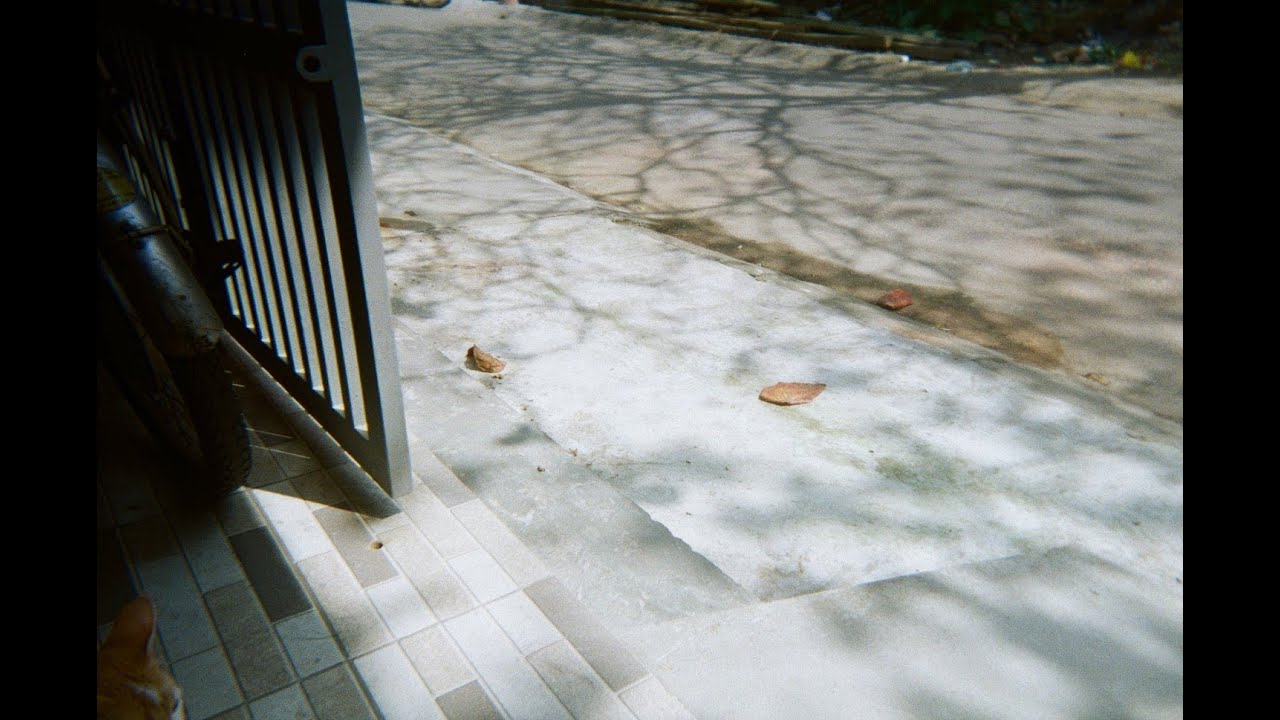 Thông điệp ngẫu nhiên|Random message|Daily|13