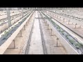 Large planting gutters