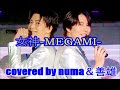 【新曲】「女神- MEGAMI- 」(±0)/風輪 2024年3月20日発売 covered by numa&善雄