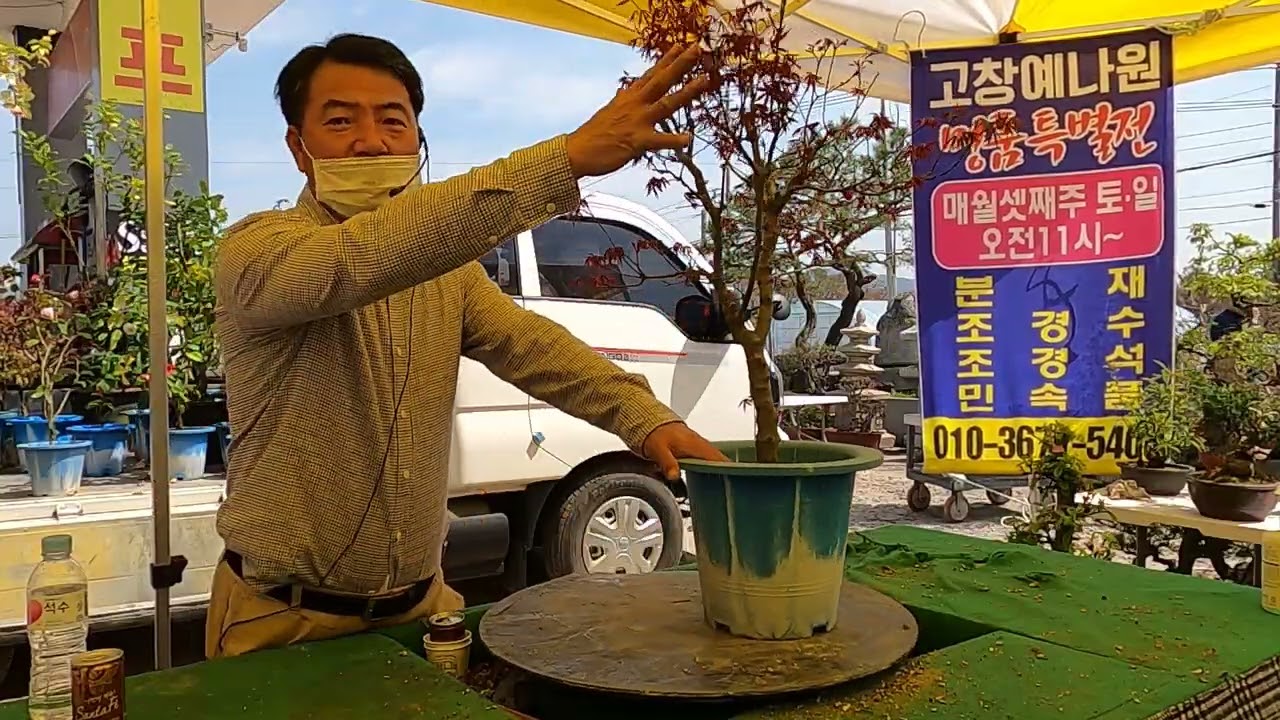 고창 예나원 경매장 21.4.11 일요경매11 #매주(토,일)오전11시경매# 010 3671 5400 고창군 고창읍 녹두로1033 HP주유소(전북대 고창캠퍼스 앞)