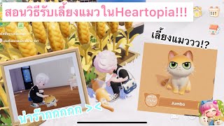 สอนวิธีรับเลี้ยงแมว Heartopia ทำไรกับแมวได้บ้าง!? ( ท่าทางน้องแมวมีอะไรบ้าง) screenshot 5