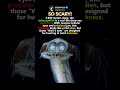 The Alien Staring from the Abyss