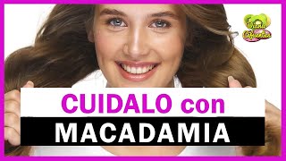 Aceite De Macadamia Para El Cabello