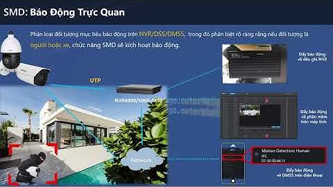 Giới Thiệu Tính Năng SMD Smart Motion Detection Trên Đầu Ghi & Camera IP Dahua