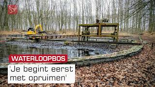 Boswachter Haalt Haven Van Ijmuiden Onder De Modder Vandaan Omroep Flevoland