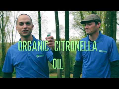 How To Apply Insect Repellent