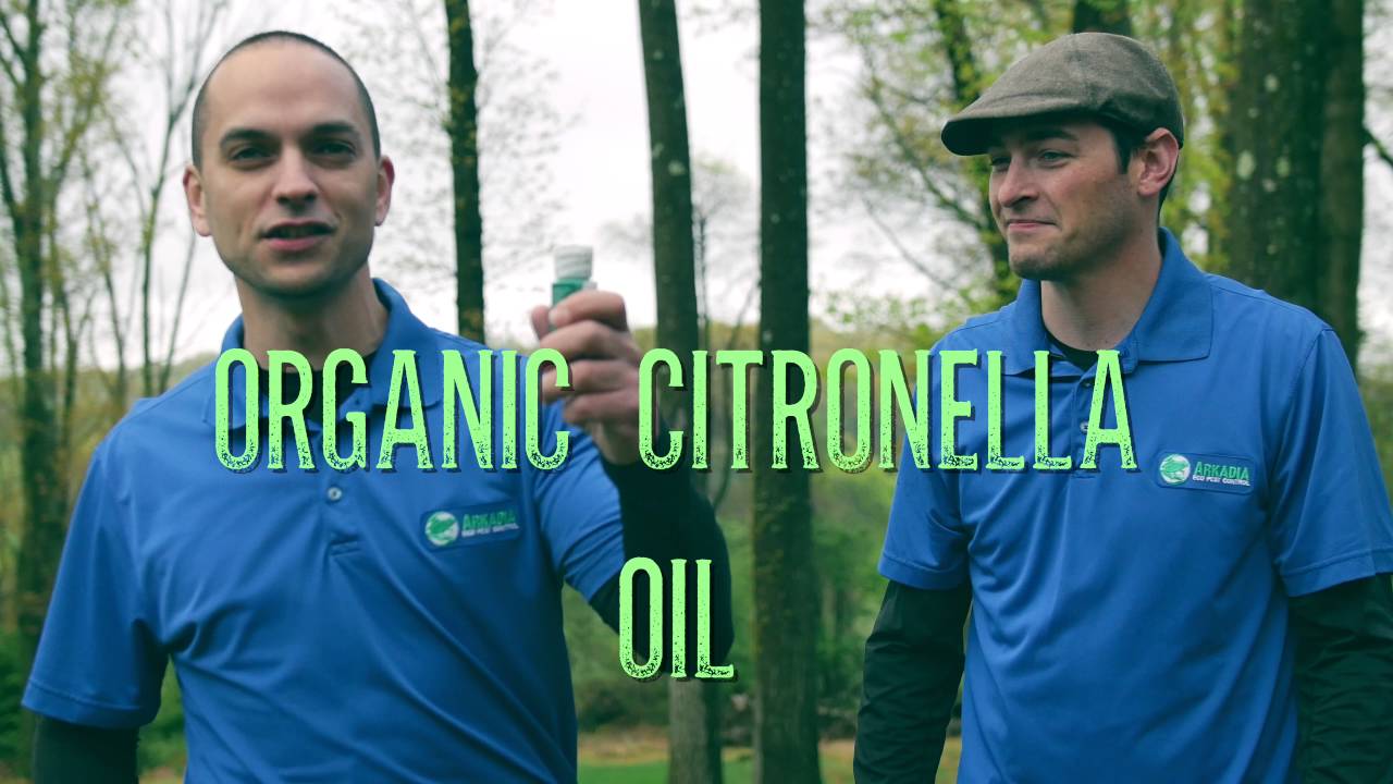 How To Apply Insect Repellent