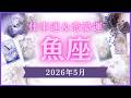 【魚座】うお座🌈2026年5月💖の運勢✨✨✨仕事とお金・恋愛・パートナーシップ［未来視タロット占い］