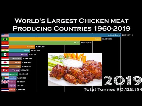World's Largest Chicken