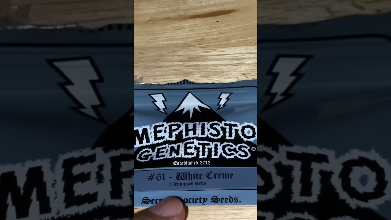Mephisto Genetics: Seed Collection Video 