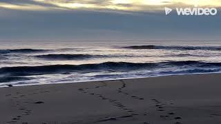 What it’s like to surf VIRGINIA BEACH HURRICANE SWELL